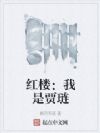 紅樓:我是賈璉
